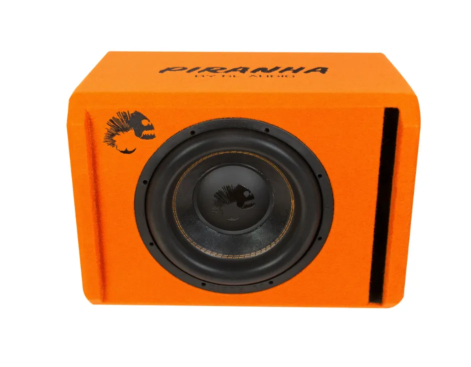 изображение_2023-11-12_205340952