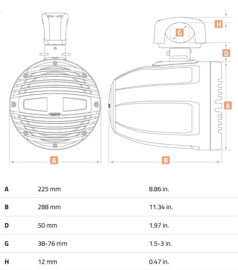 изображение_2024-02-10_204210057