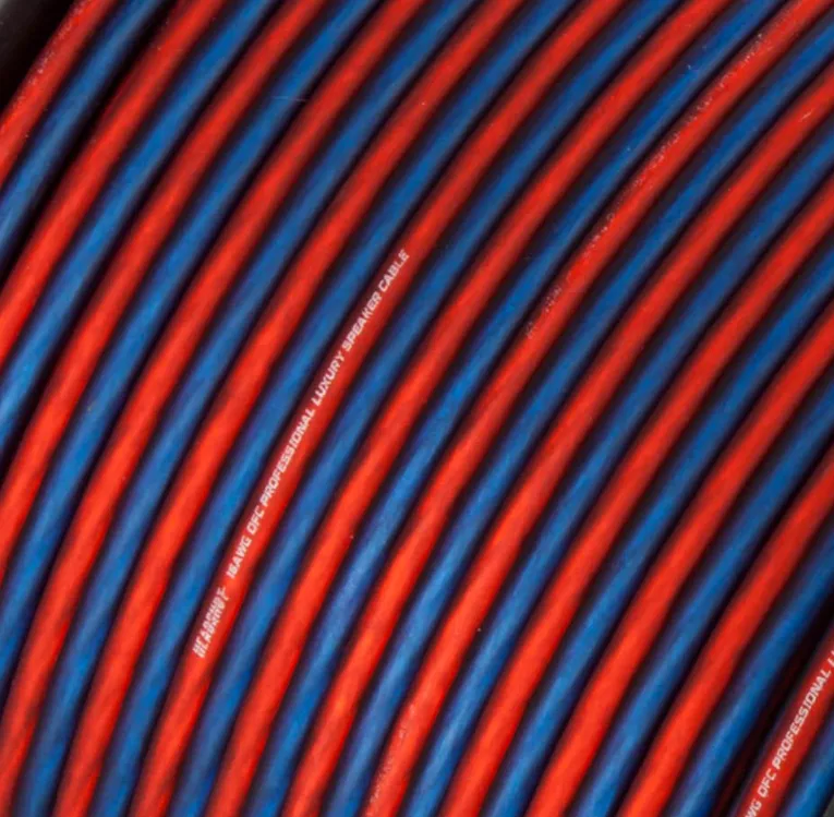 изображение_2023-08-15_165639431