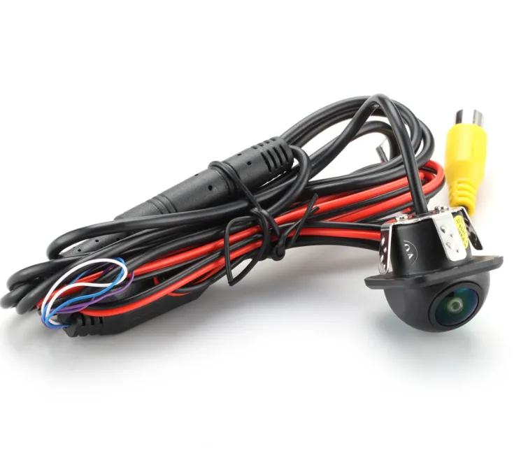 изображение_2025-09-01_184530439