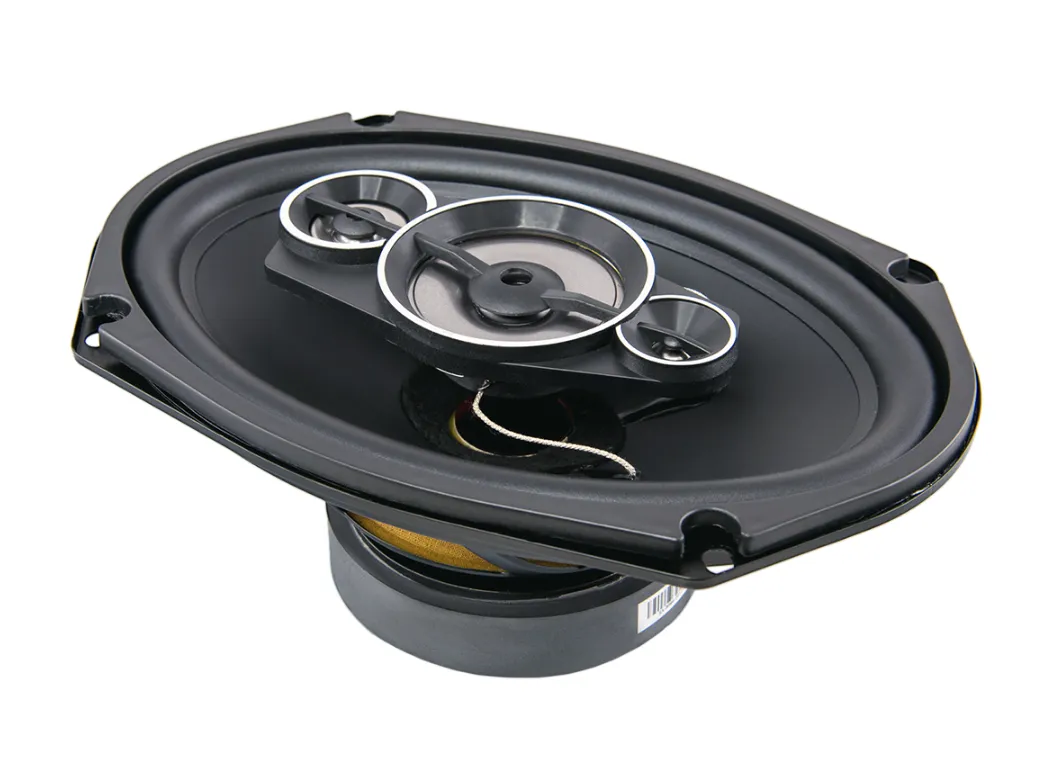 изображение_2023-11-12_191439055