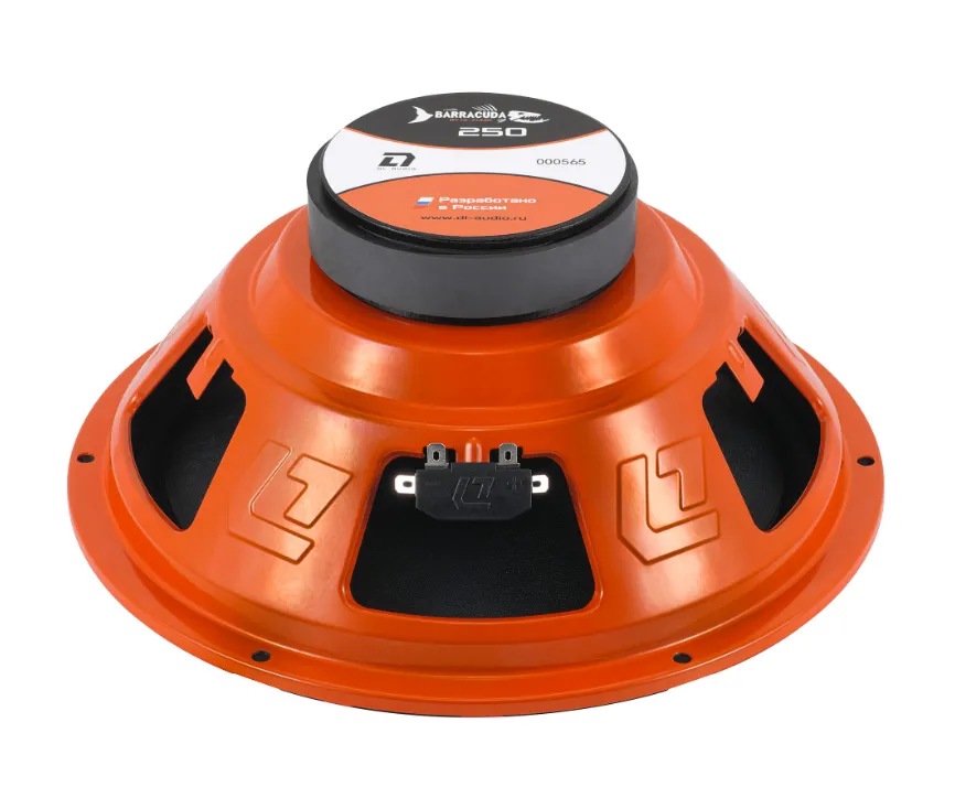 изображение_2024-03-04_075743397