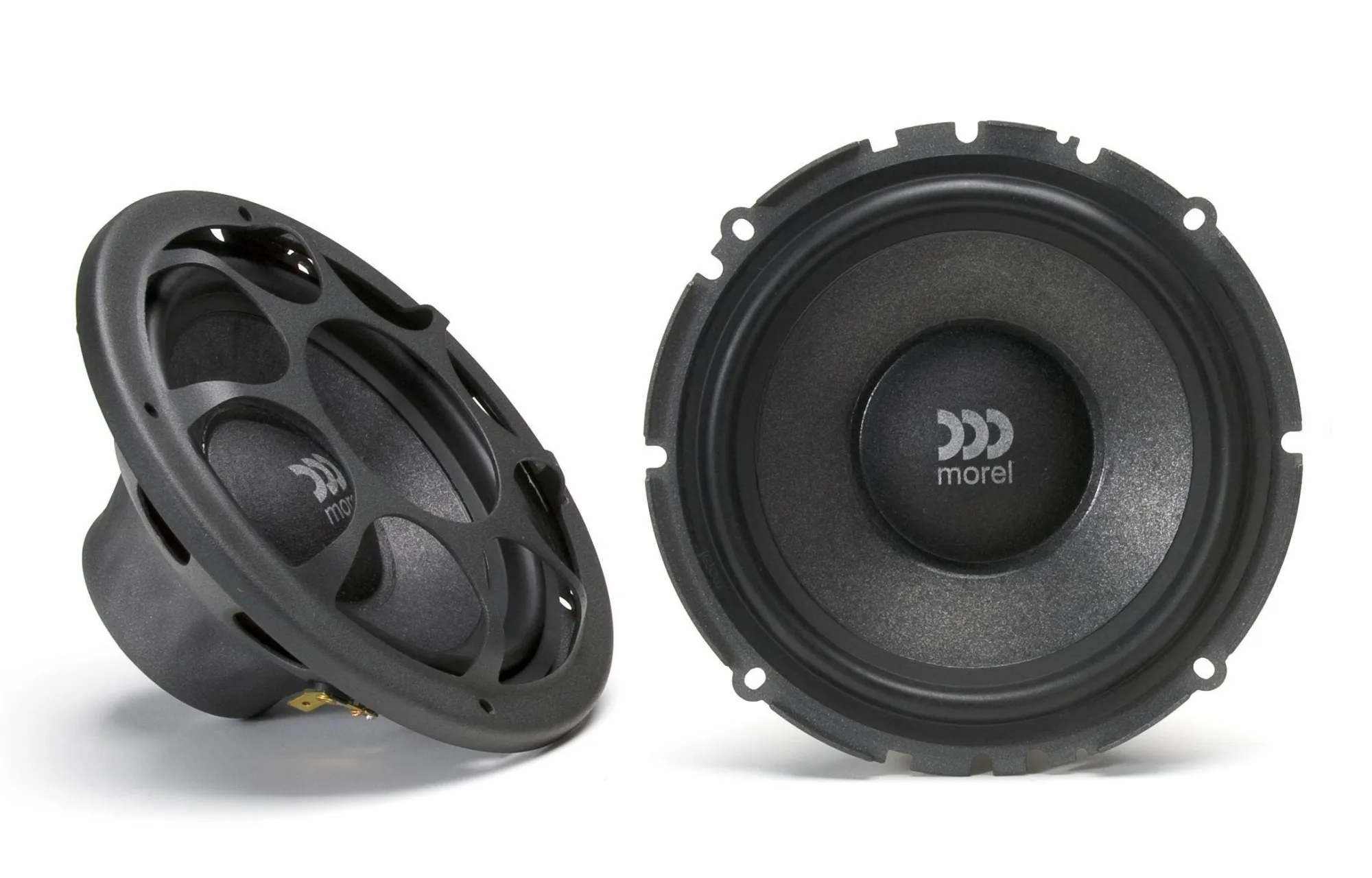 morel-virtus-603_id1672_3 morel-virtus-603_id1672_3